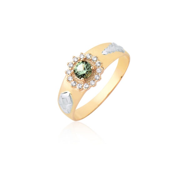 Anel de formatura Ouro maciço C143 (TECNÓLOGO EM GESTÃO AMBIENTAL)