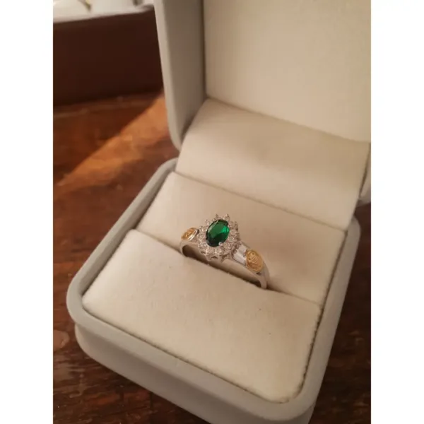 Anel de Fisioterapia em prata 950