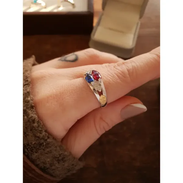 Anel de Direito e Administração em prata 950