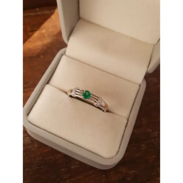 Anel de Educação Física em prata 950