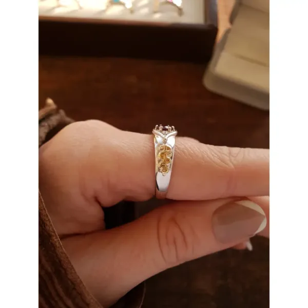 Anel de Odontologia em prata 950