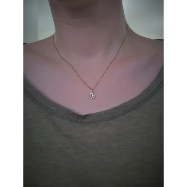 Pingente no signo de Capricórnio em ouro maciço e zircônias