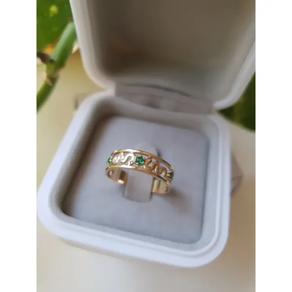 Aliança de formatura no curso de medicina com pedras